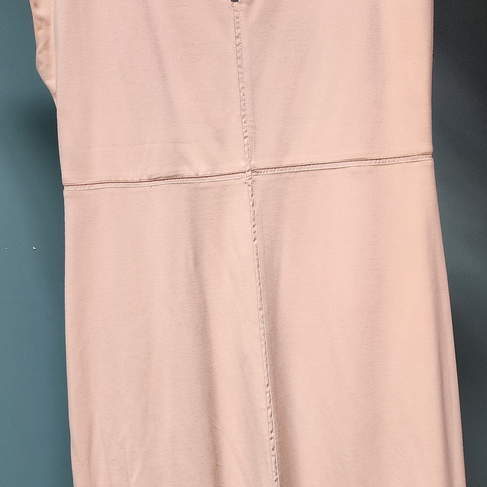 Express Blush Pink Dress